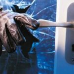 1588937130463749335 1000x669