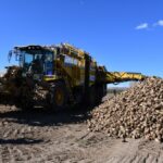 1666771246762957119 1000x669