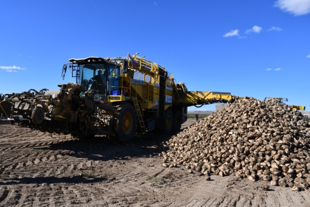 1666771246762957119 1000x669