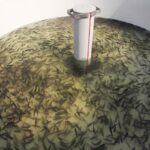 286b63a8 0162 36f2 a8d8 888126911ae2