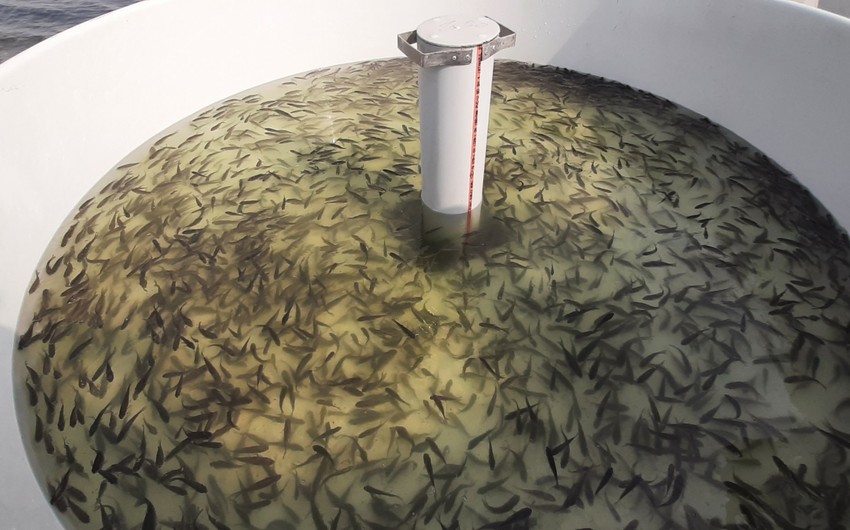 286b63a8 0162 36f2 a8d8 888126911ae2