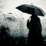 3b4fe856 fe02 31b7 b0c5 8624ed927849