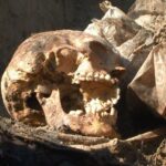 B87a4761 7970 3dfc a600 03ffb5fb7982