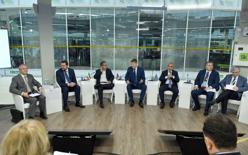 C33b85f5 8126 3f28 94a8 32ce325d7305