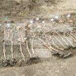 Indir 2022 10 28T122102.811