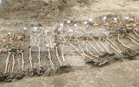 Indir 2022 10 28T122102.811