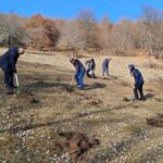 16694185722633762720 1000x669