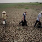 315249393 845562876789140 2437730621863348217 n