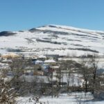 7c3c2d7b 9461 3588 9510 8a277c23d5e0