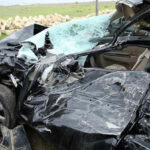 FotoJet 2022 01 30T092855.749