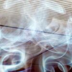 F989fc0e 9e2c 322d a5b6 9ced31d38c70