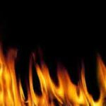 Indir 2022 11 17T091030.380