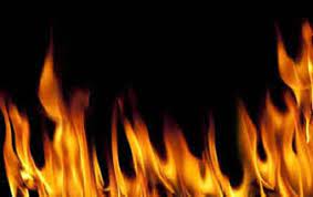 Indir 2022 11 17T091030.380