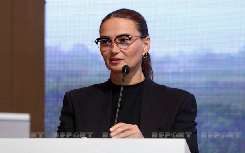 05db2365 7040 34c0 b8b7 529c176b83c6