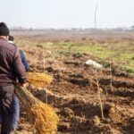 128f5ac87ad7e0340345e5d81027cc91