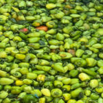 63a400ddd097763a400ddd0978167169250963a400ddd097563a400ddd0976