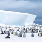 63a6830b7e29c63a6830b7e29d167185690763a6830b7e29963a6830b7e29a