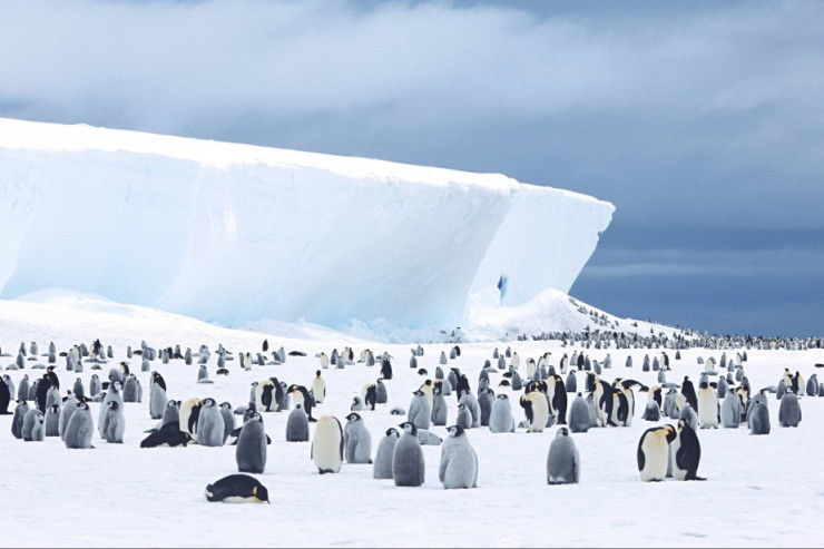 63a6830b7e29c63a6830b7e29d167185690763a6830b7e29963a6830b7e29a