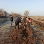 84472e671feafb3bf1b9e0d9e4fd9e3a