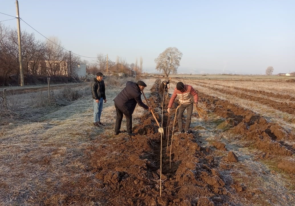 84472e671feafb3bf1b9e0d9e4fd9e3a