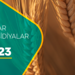 B799ae17 85f6 3ae0 9f53 1dbf7e9e9934