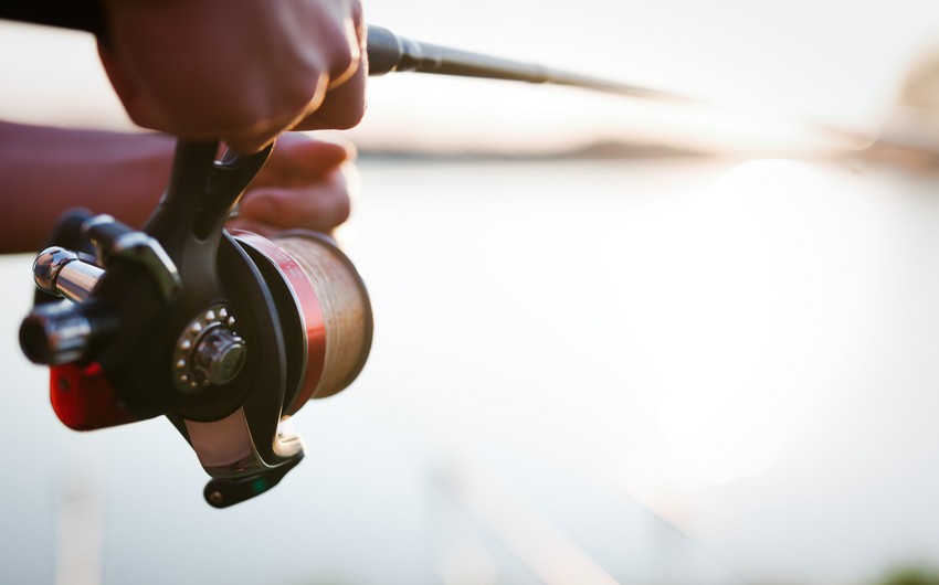 Cd894fd8 35c1 3b66 b002 8499b06a9b76