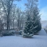 E85f48cb 35ee 3194 b59e 1972e36b6492