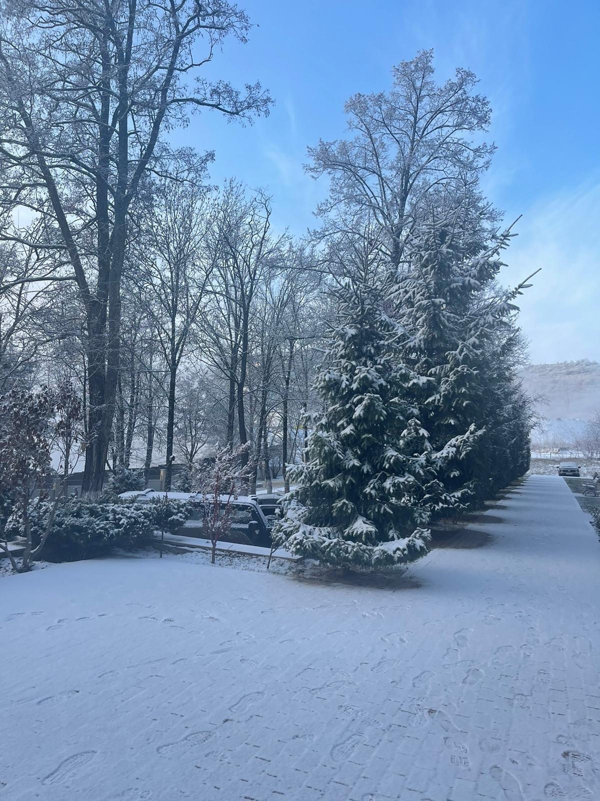 E85f48cb 35ee 3194 b59e 1972e36b6492