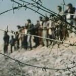 Indir 2022 12 30T144600.117