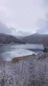 16731792931564311256_1000x669