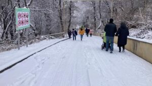 16731792932839828684_1000x669