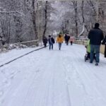 16731792932839828684 1000x669