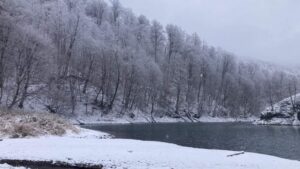 16731792934322322313_1000x669