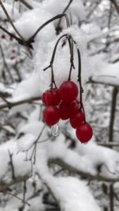 16731792934506727804_1000x669