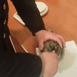 19ccd9b6 5af3 3160 bdf7 aeab5df091c8