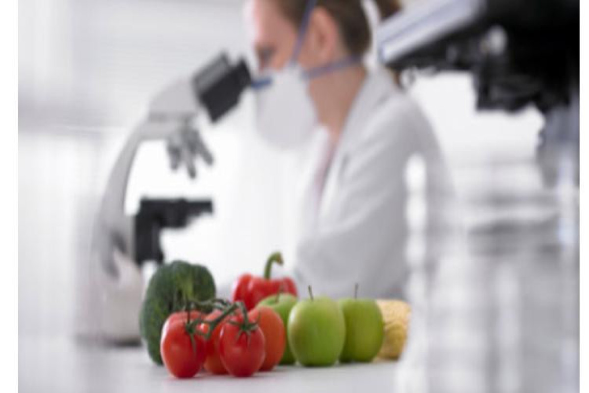 63aef551deafc63aef551deafd167241044963aef551deaf963aef551deafb