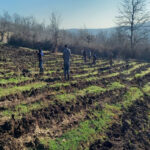 63b415ef48ca363b415ef48ca4167274647963b415ef48c9f63b415ef48ca1