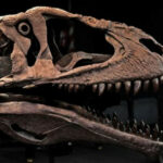 63b8d977b9ae463b8d977b9ae5167305867963b8d977b9ae063b8d977b9ae2