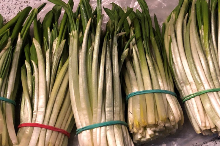 63d0d0abc287a63d0d0abc287b167462929163d0d0abc287763d0d0abc2878