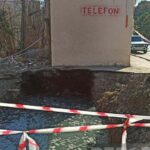 4e2ff155 d003 3895 8411 c6713de3b787