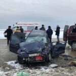 MyCollages 2023 02 17T115241.305