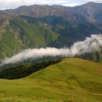 Bac67b0b 6d81 39c7 b5ec c16ce1bb6beb