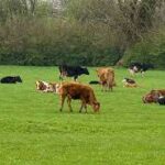 Indir 2023 02 20T175641.631