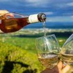 Indir 2023 02 28T120711.716