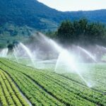 0ae6a67b f70e 3aac aabe 916981dd19bf