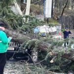 265580209 0 146 1280 866 1920x0 80 0 0 6d0daceb4123cc1a740260d2e9774ecc