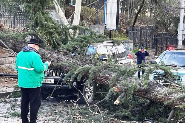 265580209 0 146 1280 866 1920x0 80 0 0 6d0daceb4123cc1a740260d2e9774ecc