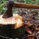 26d404d6 b1e7 3d1b bdaf ce4bb5f390e7