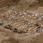 398eac96 03ca 3752 bae4 fc8c270573f1