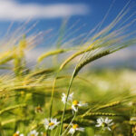 64059d1707a5f64059d1707a60167808949564059d1707a5b64059d1707a5d